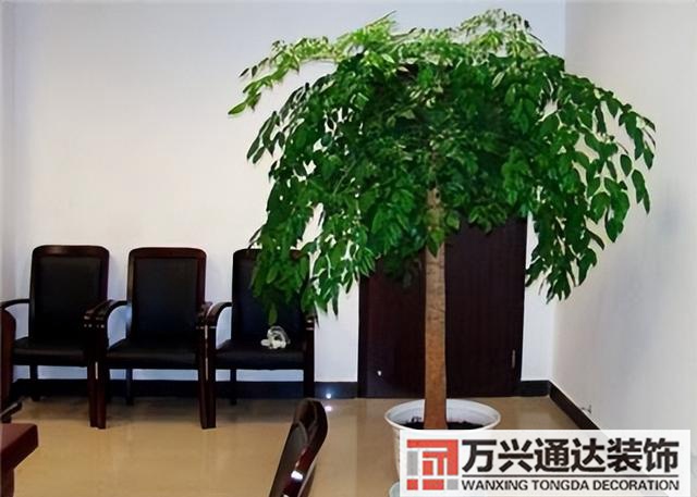 黑金剛的風(fēng)水黑金剛的風(fēng)水?dāng)[放位置