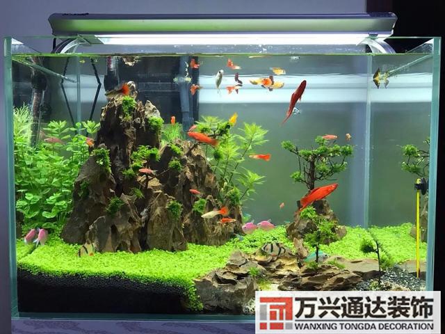 裝修辦公室什么位置風(fēng)水好辦公室做哪個位置風(fēng)水好