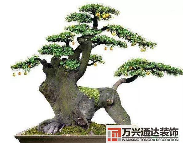 金彈子風(fēng)水金彈子風(fēng)水上怎么個說法